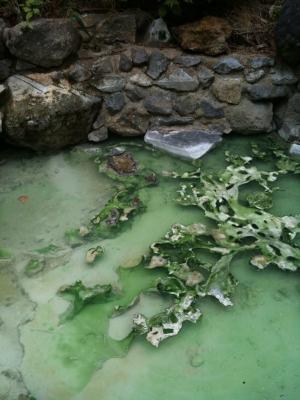 kawara no yu
